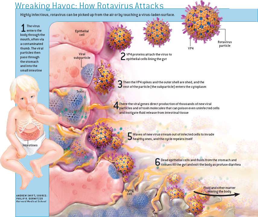 إسهال فيروس الروتا عند الأطفال و الرضع