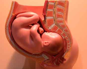 الامراض التي تصيب الحامل و الجنين
