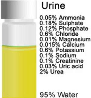 رائحة البول الكريهة عند الاطفال