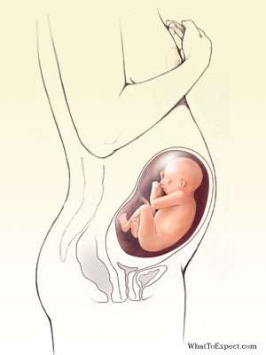 صعوبة و ضيق التنفس عند الحامل