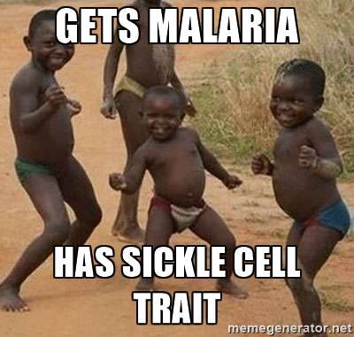 فقر الدم المنجلي و الملاريا