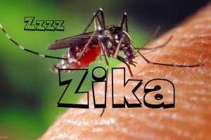 فيروس زيكا