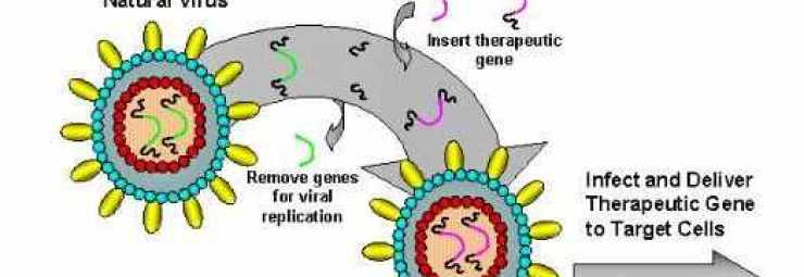 النواقل-سواغات نقل الجين