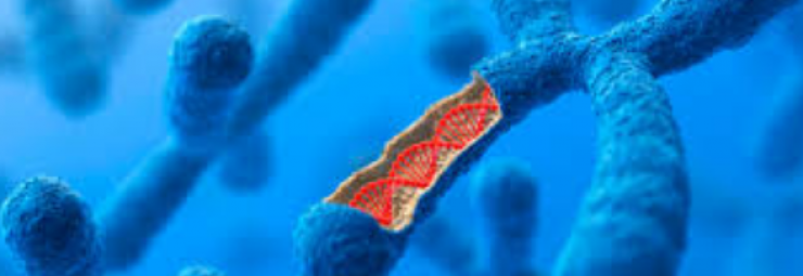 طرائق الوراثيات الخلوية الجزيئية