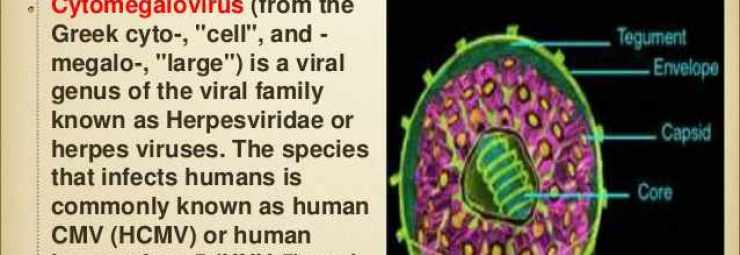 فيروس CMV
